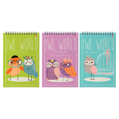 Блокнот Альт, А5 127 х 202 мм, СКАЗОЧНЫЕ СОВЫ 40 л 3-40-024, обложка в ассортименте