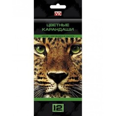Карандаши цветные Hatber VK Дикие звери 12 цветов С заточкой