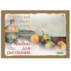 Альбом для рисования А5 40 Л. на склейке серия "ПРОФЕССИОНАЛЬНАЯ" Альт