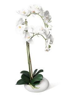 Орхидея Фаленопсис 2 ветки в керамическом кашпо "Камень" Gerard de ros