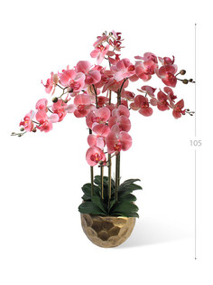 Орхидея Фаленопсис 7 веток в керамическом кашпо полусфера Gerard de ros