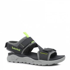 Сандалии мужские Timberland Ripcord 2 Strap Sandal_2516880 серые 43 EU