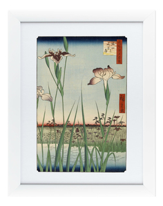 Картина Картины в Квартиру Цветная Гравюра №2 (47х60 см)