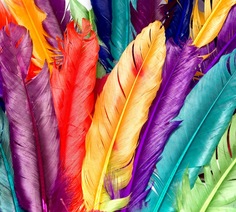 Фотообои Divino Decor "Разноцветные перья 300х270"