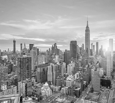 Фотообои Divino Decor "Нью-Йорк Сити 300х270"