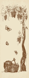 Фотообои DIVINO Decor -077 Корзина винограда 100х270