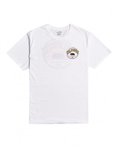 Футболка мужская Billabong W1SS42-BIP1 белая 2XL