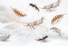 Фотообои Divino Decor на стену "Перья 400х270"