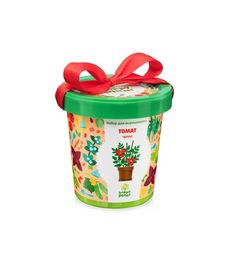 Набор для выращивания Горшок Томат Черри для выращивания бантик Happy Plant