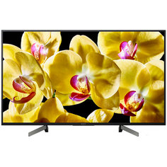 LED телевизор 4K Ultra HD Sony KD-49XG8096