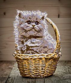 Алмазная вышивка Фрея «Котенок в корзине» Freya