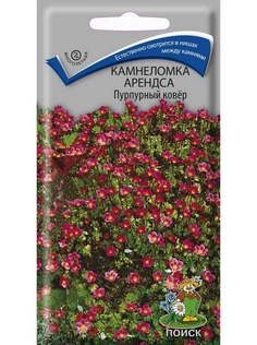 Семена. "Камнеломка Арендса. Пурпурный ковер" (вес: 0,01 г) ПОИСК