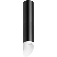 Светильник потолочный Lightstar Rullo, R49736, 50W, G10