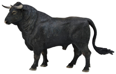 Фигурка Collecta Испанский бык, L