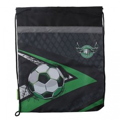 Мешок для обуви School Формат Яркий футбол, серый