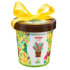 Набор для выращивания Горшок для выращивания Ягоды Годжи Happy Plant