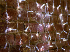 Гирлянда Neon-Night Дождь 2x0.8m White 235-105