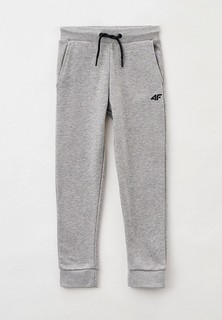 Брюки спортивные 4F