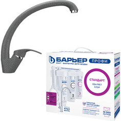 Смеситель для кухни EcoStone ES-02 с фильтром Барьер Профи и отдельным краном, темно-серый (EB-02-309-Profi)