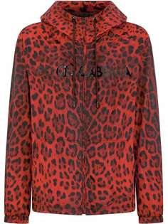 Dolce & Gabbana куртка с капюшоном и леопардовым принтом