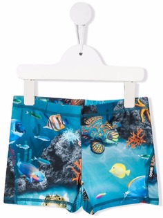 Molo graphic print swim shorts