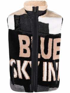 BLUE SKY INN флисовый жилет с логотипом
