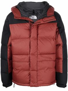 The North Face пуховик в двух тонах