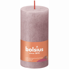 Свеча Bolsius Rustic Shine 10х5 см пепельная роза