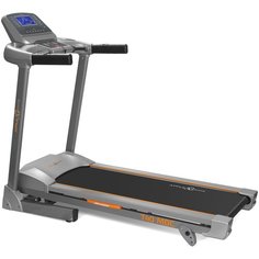 Беговая дорожка AppleGate T40 MDC, черный/серый