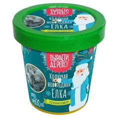 Набор подарочный "Колючая новогодняя елка" Вырасти, дерево!