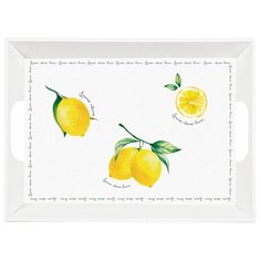 Пластиковый поднос с ручками Amalfi 51х38 см, цвет белый, Easy Life, EL-R0347_AMAL
