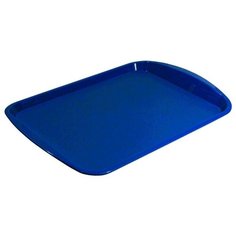 Поднос Plast Team PT9216 синий