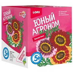 Набор для выращивания LORI Юный агроном. Хризантема Р-018