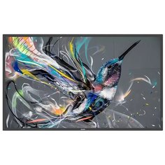 Монитор Philips 43BDL3550Q 43", black
