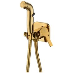 Встраиваемый смеситель с гигиеническим душем RUSH Capri CA1435-99 Gold