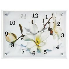 Часы настенные, серия: Цветы, "Орхидея", 30х40 см, микс Сюжет