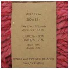 Пряжа "Смесовая" 30% шерсть, 70% акрил 200м/200гр (816-Красн.меланж) Пехорка