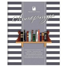 Проф-Пресс Тетрадь Полосатый стиль Литература, линейка, 48 л., белый/серый