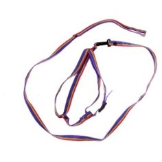 Томикс 0173 Комплект дкошек поводок радуга+шлейка однослойная капрон 1,3м*12мм