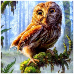 Алмазная мозаика вышивка Mazari "Сова" 25х30 см холст