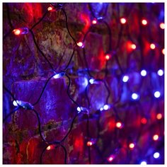 Гирлянда NEON-NIGHT "Сеть" 2,5 х 2,5 м, черный ПВХ, Красные/Синие, 432 LED