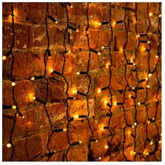 Гирлянда NEON-NIGHT 235-121, 200 х 150 см, 360 ламп, желтый/черный провод