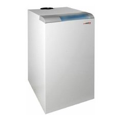 Газовый котел Protherm Медведь 20 PLO