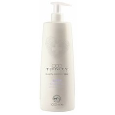 Trinity Шампунь оттеночный для волос, серебряный / Essentials silver reflex shampoo 1000 мл