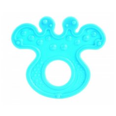 Canpol Прорезыватель мягкий Canpol от рождения, 3 вида, арт. 13/119 цвет: голубой, форма: растение