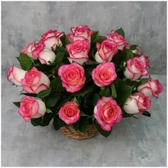 Корзина из 25 роз «Розовые розы Джумилия с зеленью Flor Pro