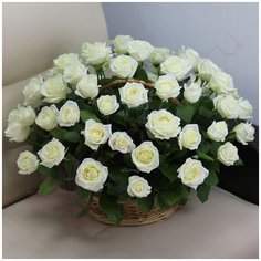 51 белая роза в корзине Flor Pro