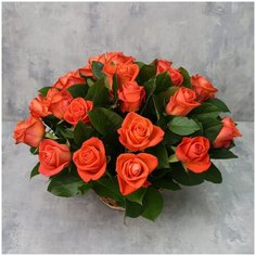 Корзина из 25 роз «Коралловые розы Вау с зеленью Flor Pro