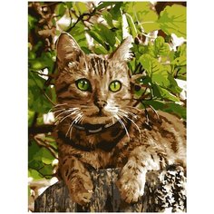 Набор для творчества LORI Картина по номерам Зеленоглазый котик