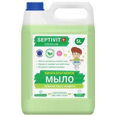 Жидкое мыло для рук SEPTIVIT Premium, гипоаллергенное, концентрат, Лемонграсс и Мята, 5 литров (5000 мл.)